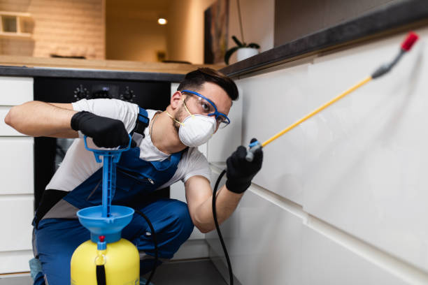 Flea Control Services in Springdale, NJ