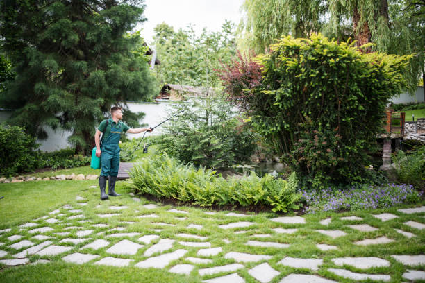 Best Pest Control Near Me  in Springdale, NJ