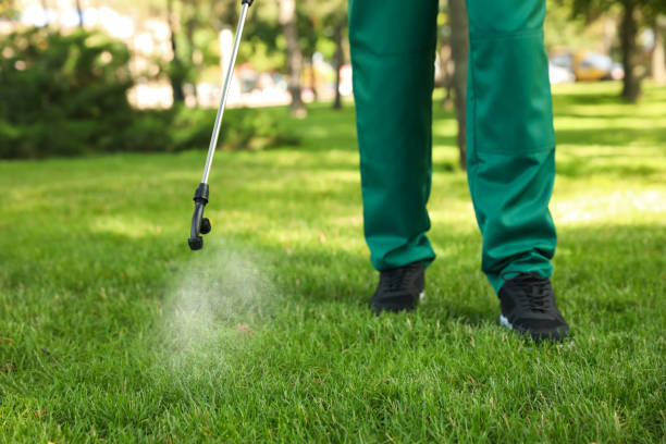 Best Spider Control Near Me  in Springdale, NJ