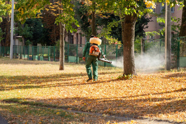 Wasp Removal Services in Springdale, NJ