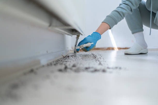 Best Wildlife Control Services  in Springdale, NJ