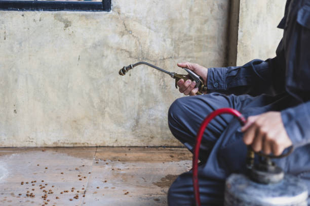 Best Pest Control Treatment  in Springdale, NJ